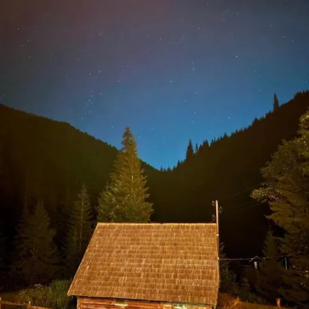 тихий світанок Synevyrs'ka Polyana